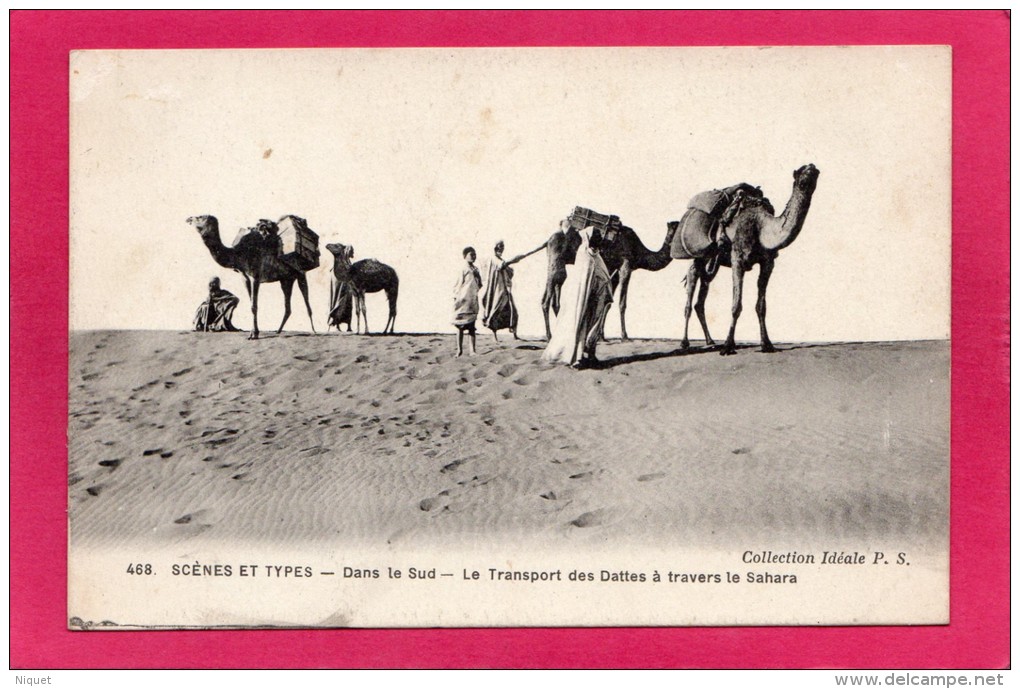 MAROC Pittoresque, Transport Des Dattes Dans Le Sahara, Animée, (Idéale, P. S.) - Other & Unclassified