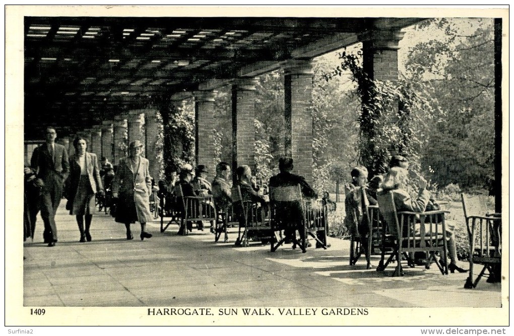 YORKS - HARROGATE - VALLEY GARDENS - SUN WALK - ANIMATED Y1097 - Harrogate