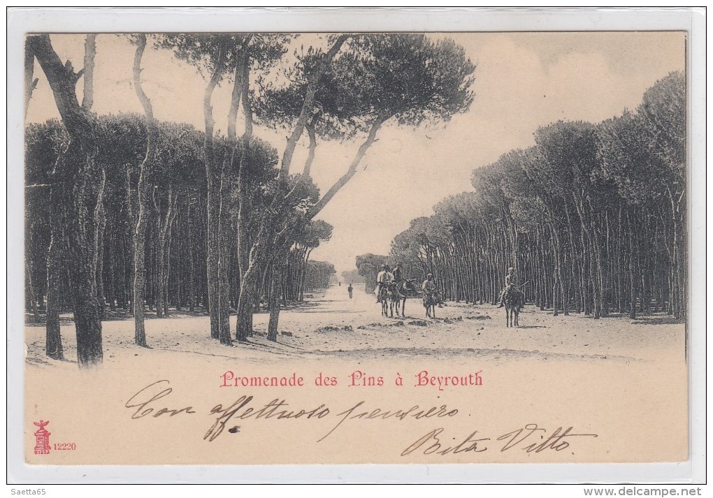 Beyrouth-promenade Des Pins  -veduta  -1902 - Liban