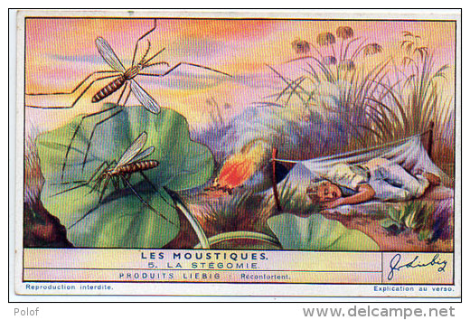 LIEBIG - Les Moustiques - La Stégomie   (84814) - Affiches