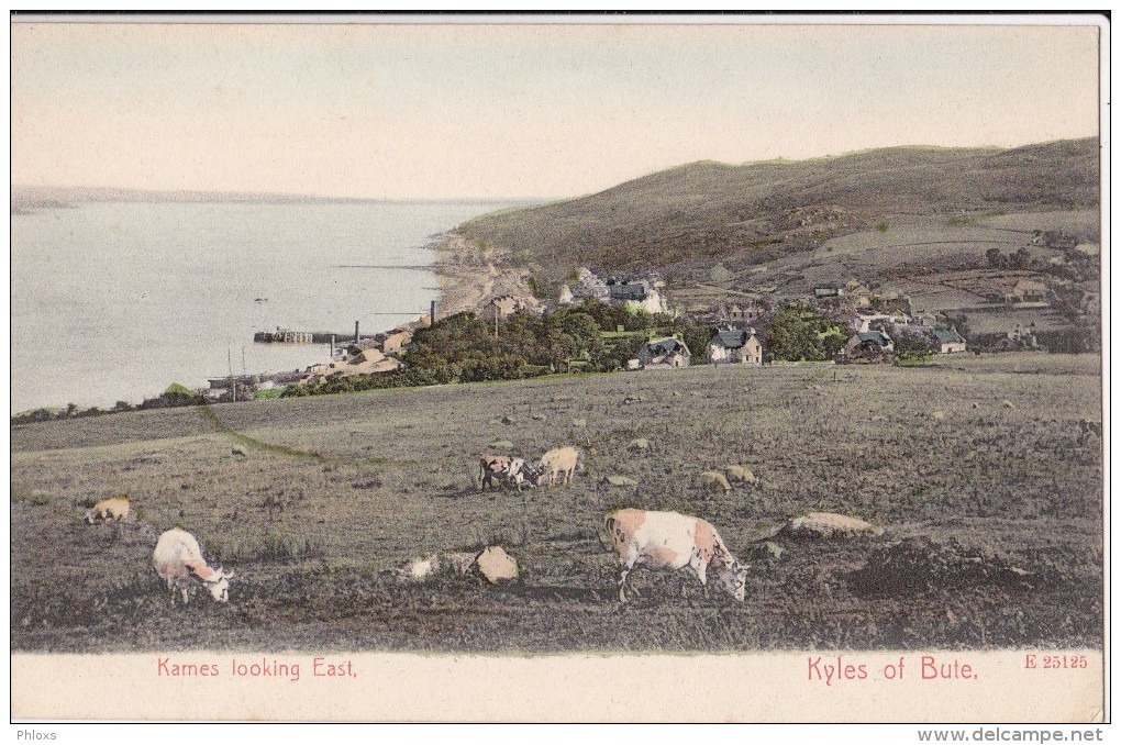 Kames Looking East,Kyles Of Bute/ Réf:C4305 - Bute