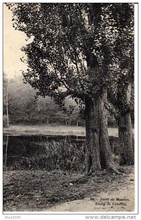 Meudon () La Foret étang De Chaville - Meudon