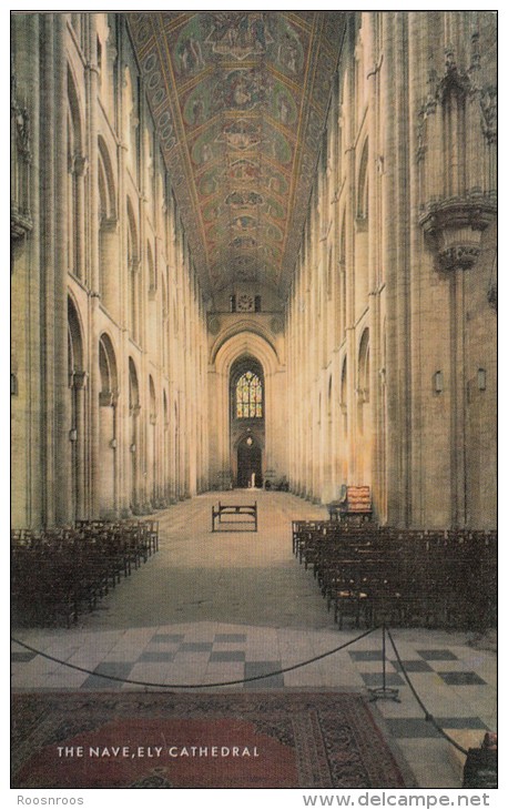 CP ELY ENGLAND CATHEDRAL THE NAVE BY J SALMON - Ely