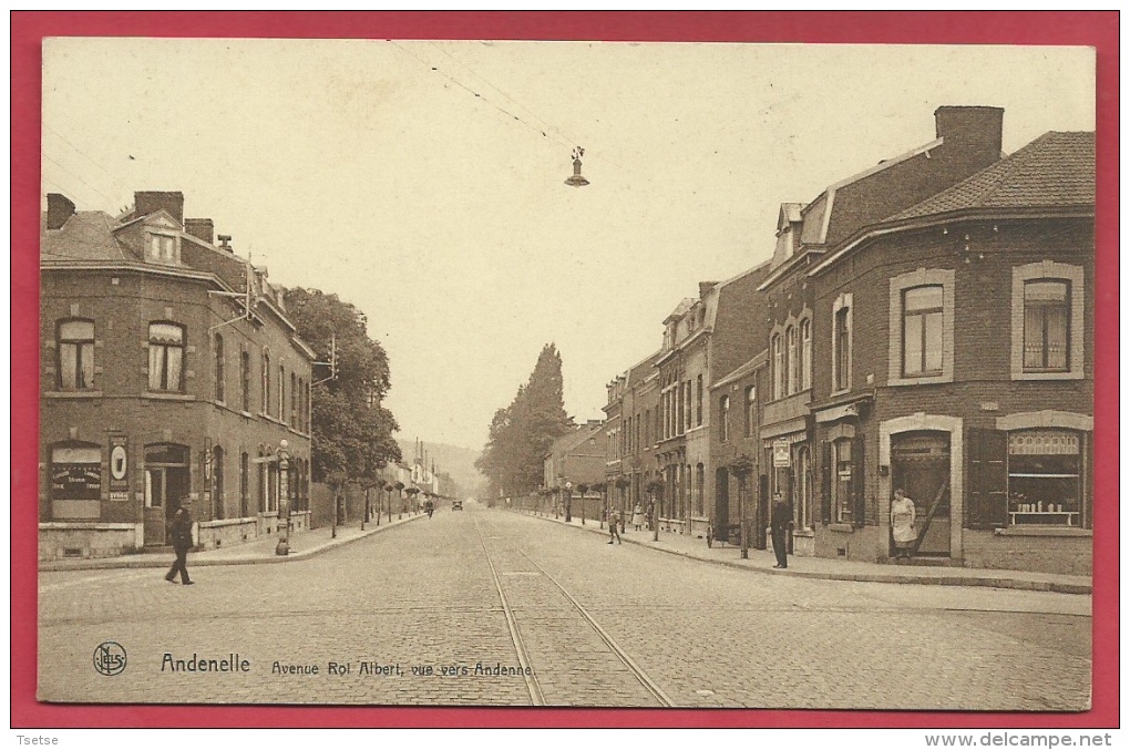 Andenelle - Avenue Roi Albert, Vue Vers Andenne  ( Voir Verso ) - Andenne