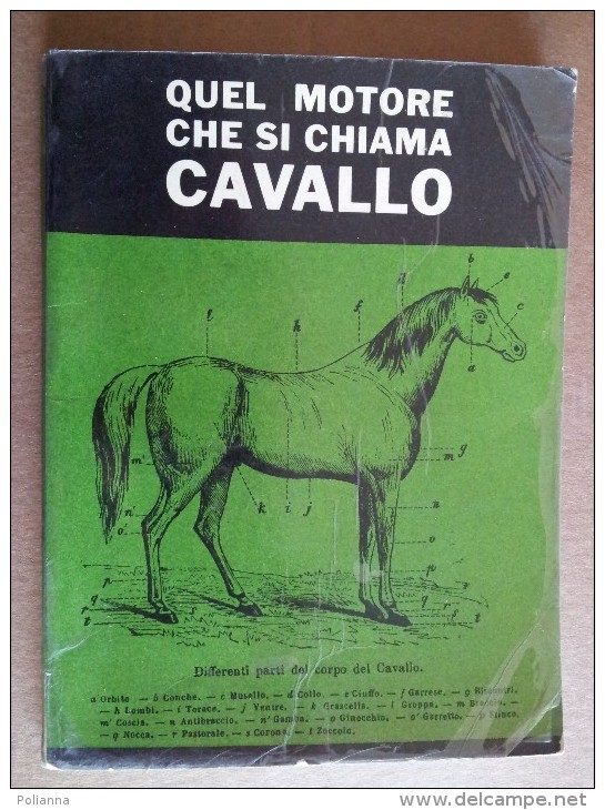 M#0N42 QUEL MOTORE CHE SI CHIAMA CAVALLO Uff.stampa Dell'UNIRE Corriere Dei Piccoli 1962 - Animali Da Compagnia