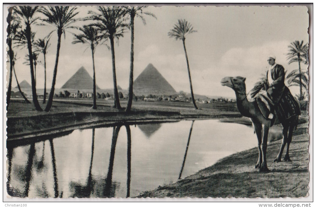 LANDSCAPE AT THE ENVIRONS OF THE PYRAMIDS OF GIZA - RARE - 2 SCANS - - Pyramids