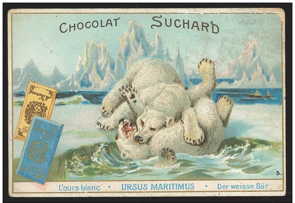 Chromo Chocolat Suchard - L'ours Blanc - Suchard