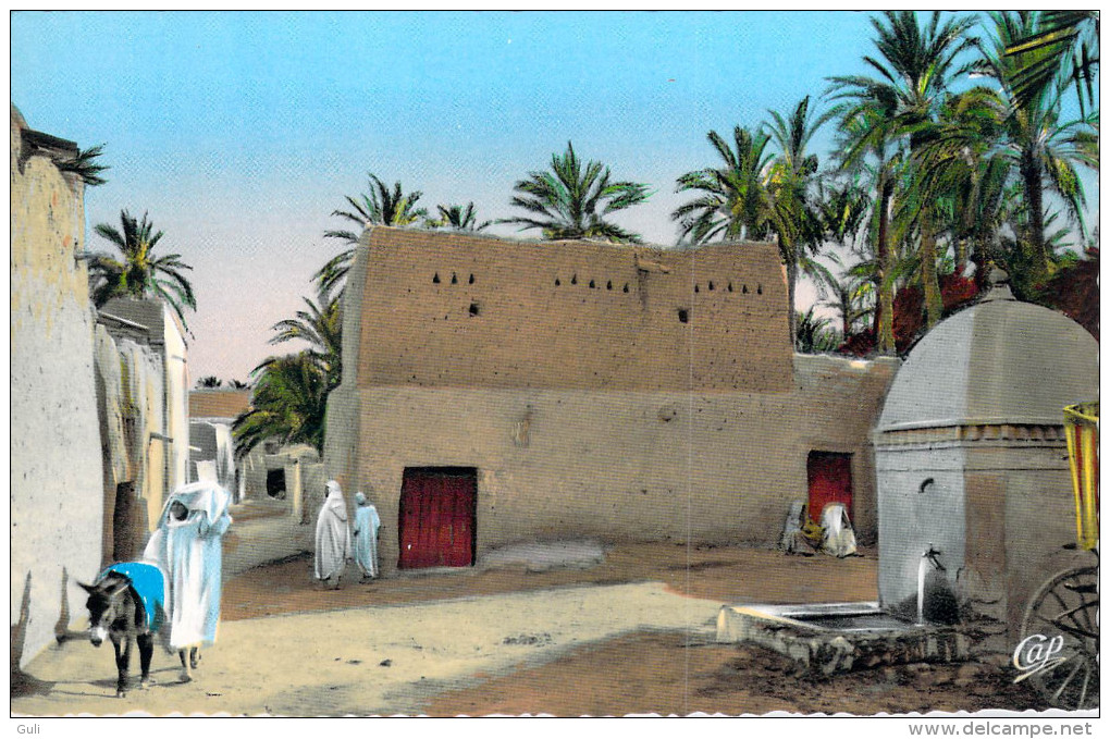 Algérie Scènes Et Types Dans L'Oued (Cpsm Photo Dentelée-- Editions : C.A.P. CAP ND° 691) * PRIX FIXE - Scènes & Types