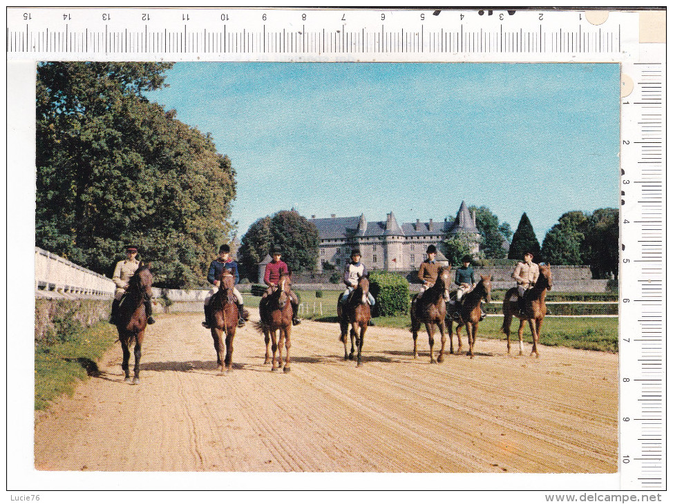 POMPADOUR  -    Haras  -   Hippodrome   -  Apprentis  Montant  Les  Poulains Du  Haras - Arnac Pompadour