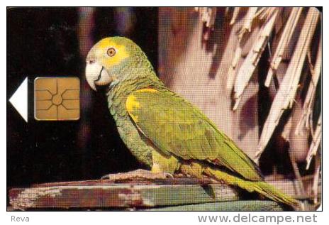 BONAIRE 20 U - 5 FL BIRD YELLOW-SHOULDERED PARROT CHIP  BON- C10 READ DESCRIPTION !! - Antillen (Niederländische)