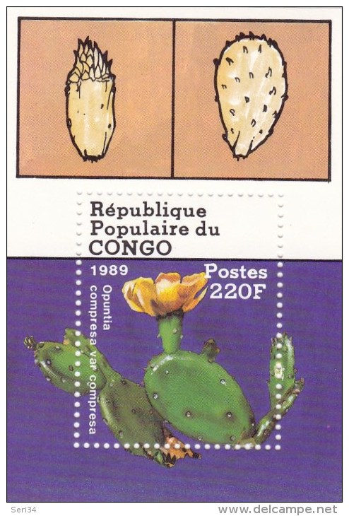 CONGO : Flore Cactée Abeille : Y&T : ** : BF 44-61 PA - Blocs