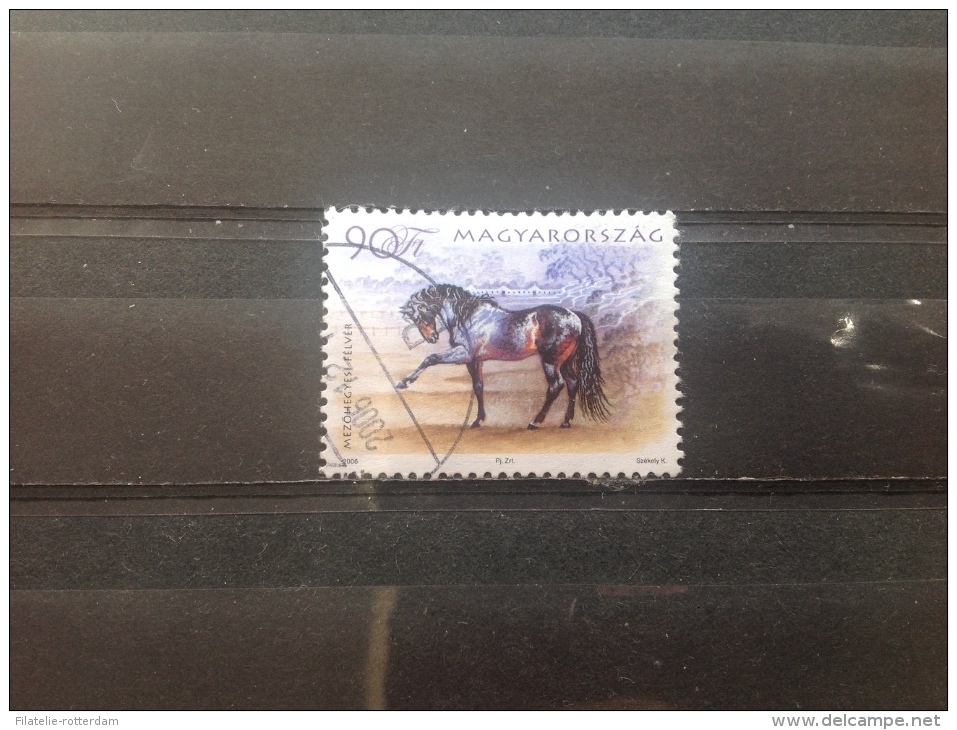Hongarije / Hungary - Hongaarse Paarden (90) 2006 Very Rare! - Used Stamps