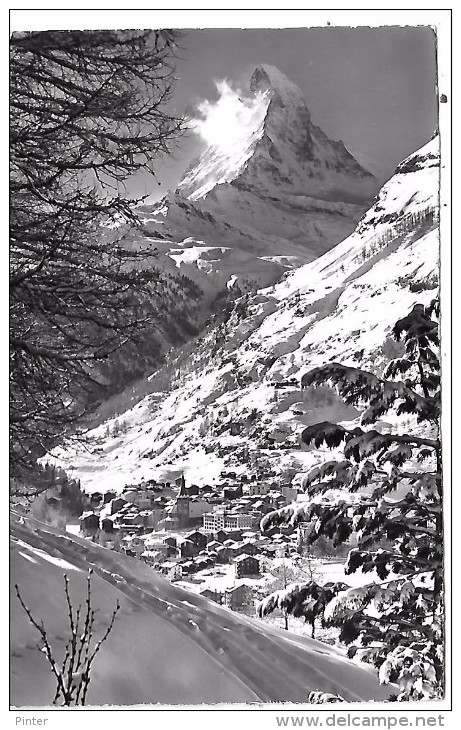 SUISSE - ZERMATT Mit Matterhorn - Matt