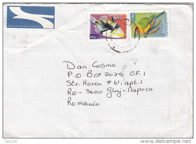 TRIGGERFISH, BEE-EATER, STAMPS ON COVER, 2010, SOUTH AFRICA - Lettres & Documents