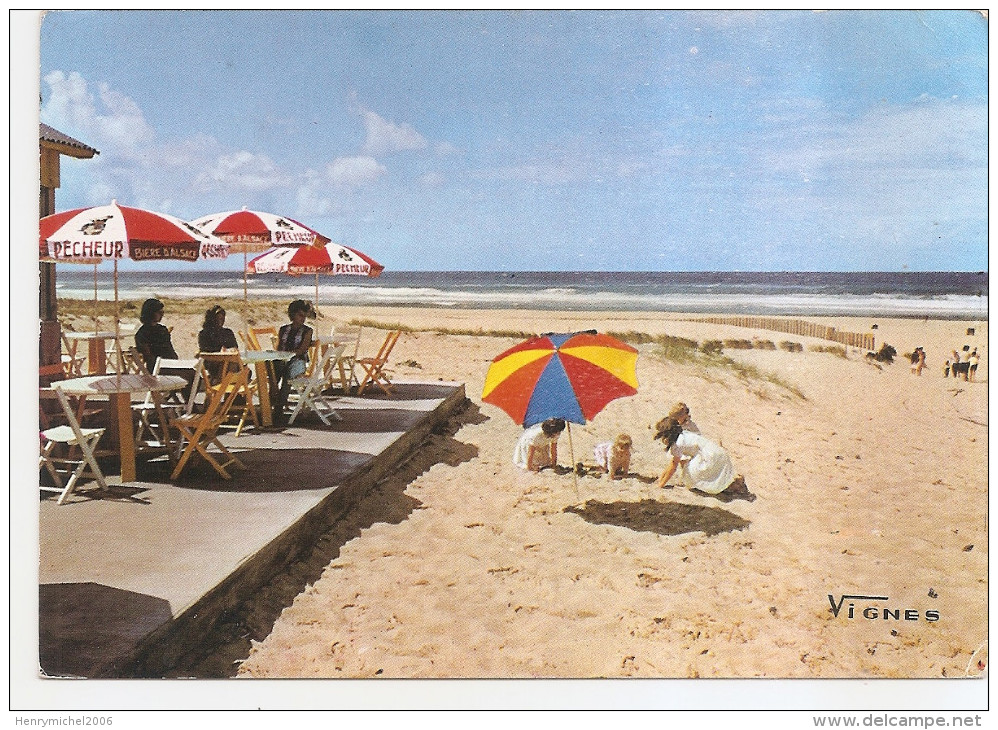 40 - Landes - Moliets Plage Bar De L'océan Ed Photo Vignes - Altri & Non Classificati