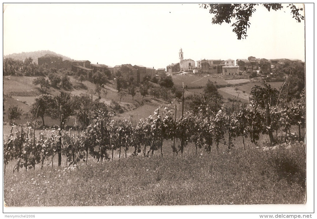 Italie - Italia - Italy - Piemonte  Alessandria Castagnola Di Gremiasco Curone Vignes Posto Di Soggiorno Montano Tortona - Alessandria