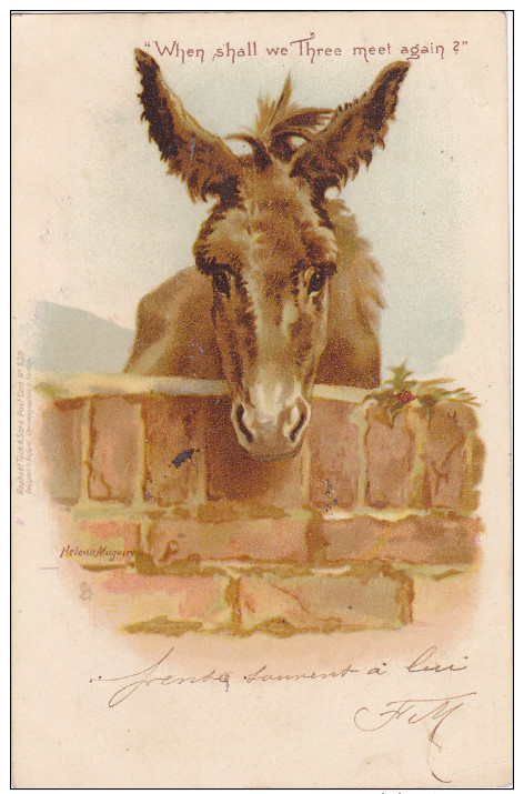 1900-1910's; Donkey, "When Shall We Three Meet Again?" - Donkeys