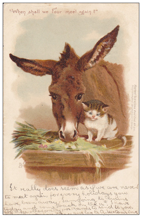 1900-1910´s; Donkey And Cat, "When Shall We Four Meet Again?" - Anes