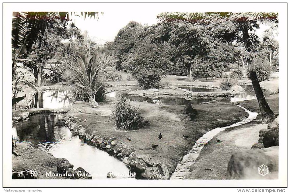 264235-Hawaii, Honolulu, RPPC, Moanalua Gardens, Kodak Hawaii Photo No H-59 - Honolulu