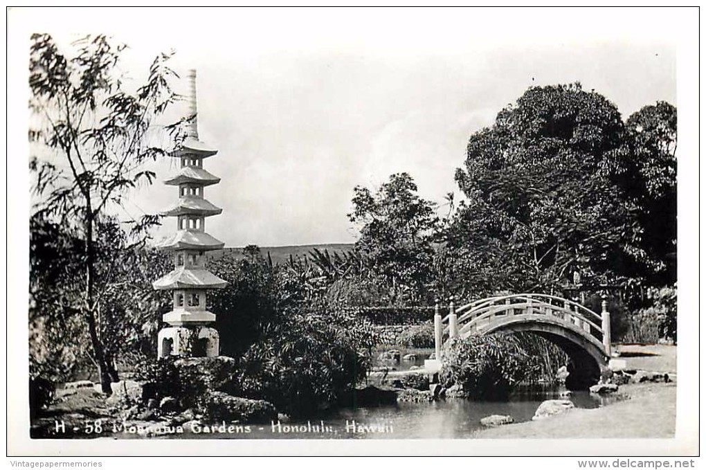 264239-Hawaii, Honolulu, RPPC, Moanalua Gardens, Kodak Hawaii Photo No H-58 - Honolulu