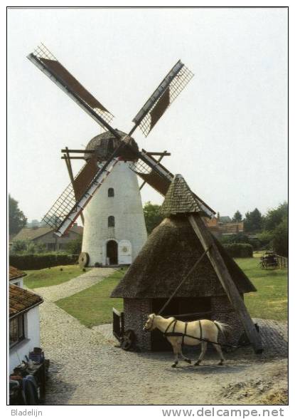 ERTVELDE Bij Evergem (O.Vl.) - Molen/moulin - De Stenen Molen En De Rosmolen In Werking. Met Stempel Aan Achterzijde. - Evergem
