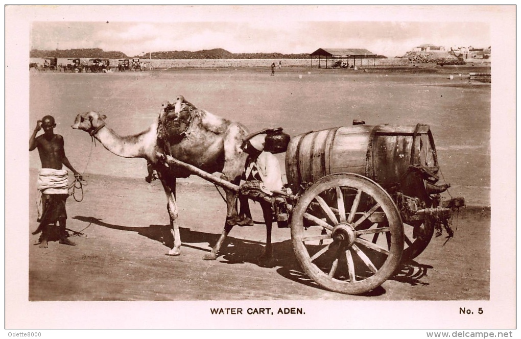 Water Cart    Waterkar    Yemen         A 730 - Yemen