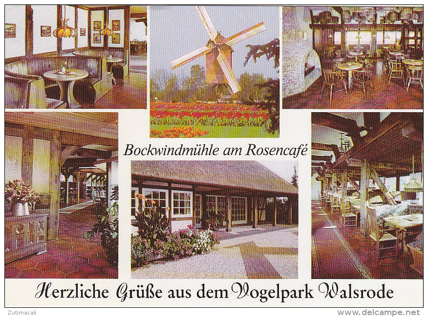 Walsrode - Vogelpark - Bockwindmuhle - Windmill Mill Moulin Molen - Walsrode