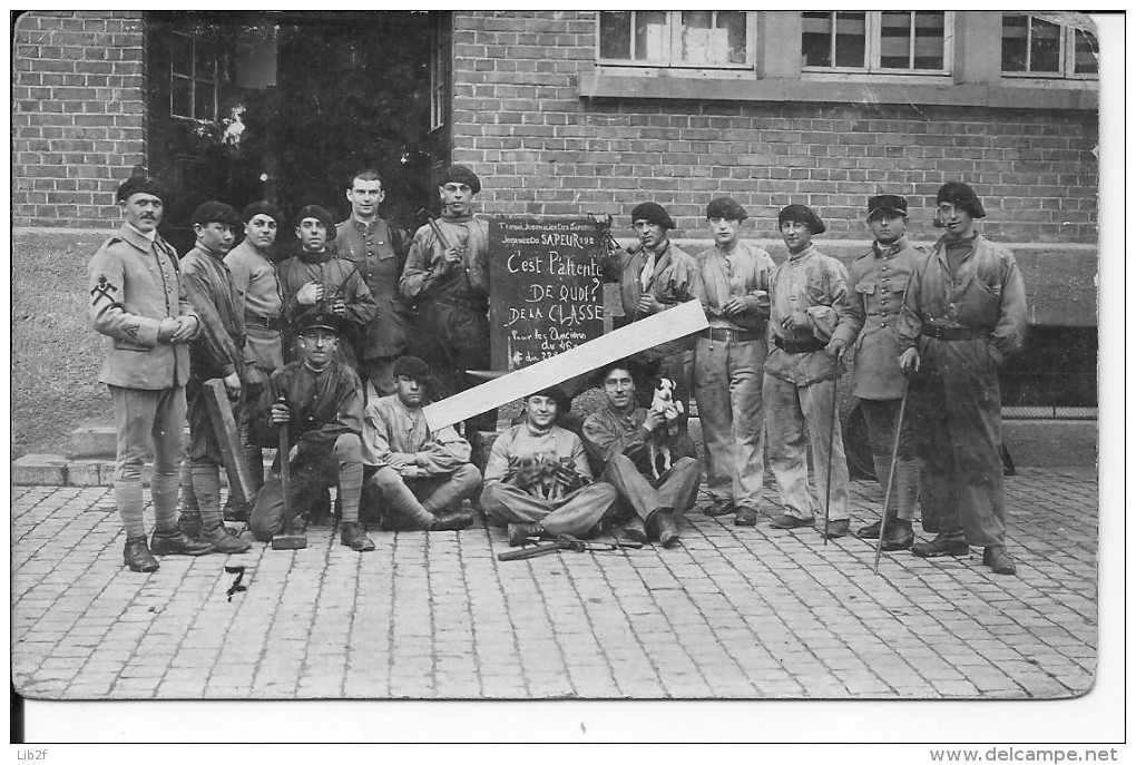 Soldats Français Unité De Sapeurs Du 97ème Avec Leur Chienne Mascotte Et Sa Portée De Chiots 1 Carte Photo 1939-1940 Ww2 - War, Military