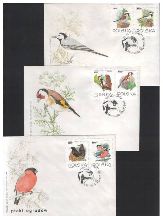 Poland, Birds: Sparrow, White Wagtail, Syrian Woodpecker, European Goldfinch, European Starling, Eurasian Bullfinch 1993 - Moineaux