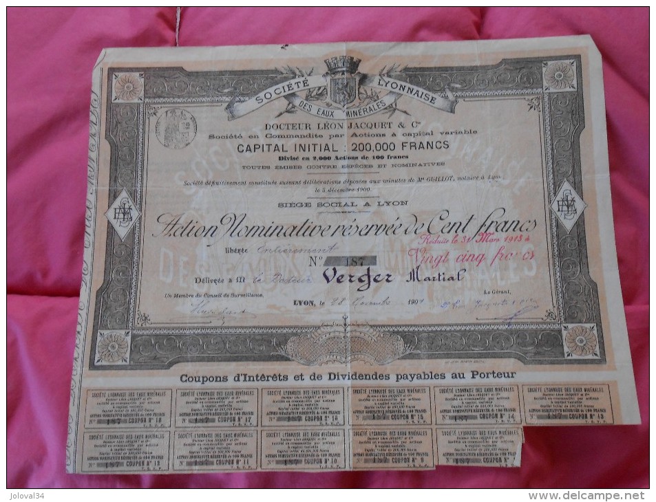 Action Réservée 100  Francs Société Lyonnaise Des Eaux Minérales Docteur JACQUET  Lyon - 1901 - Eau