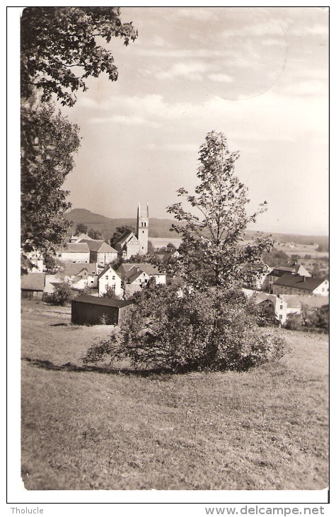 Allemagne-Schönberg Am Kapellenberg (Bad Brambach-Vogtland-Sachsen-Saxe)-1961-Vue Du Village-pas Courante - Bad Brambach