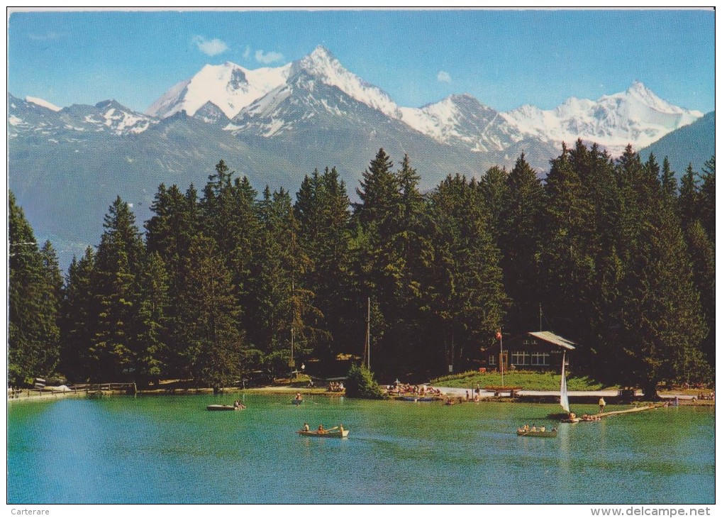 SUISSE,SWITZERLAND,SWISS, HELVETIA,SCHWEIZ,SVIZZERA ,VALAIS,CRANS MONTANA,vallée Du RHONE,VUE PANORAMIQUE - Crans-Montana