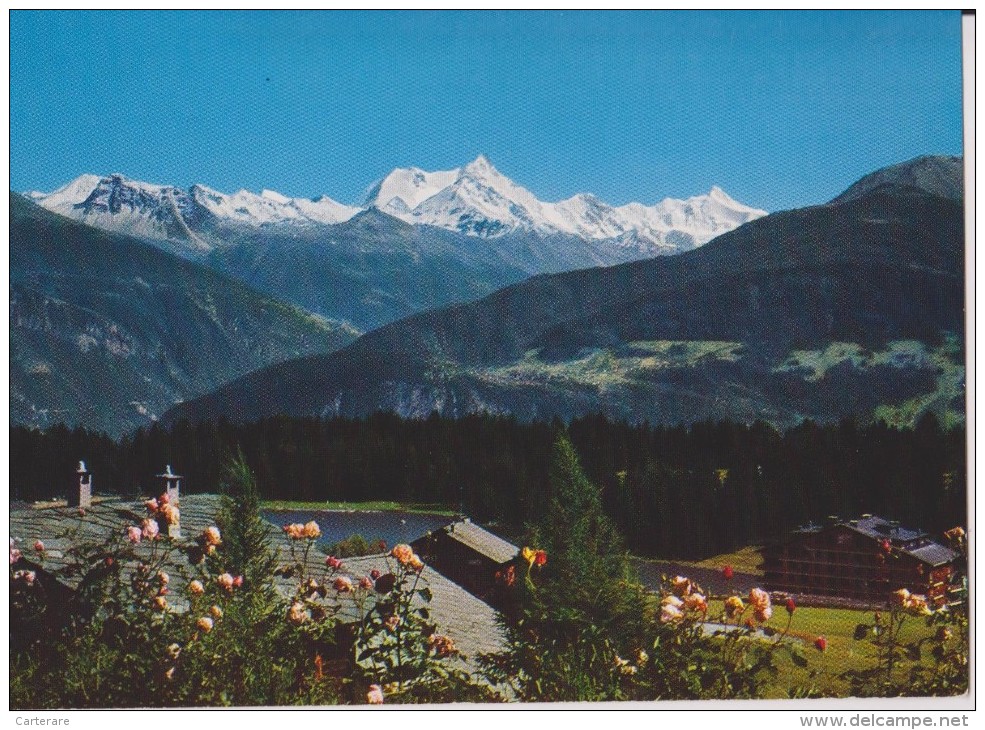 SUISSE,SWITZERLAND,SWISS, HELVETIA,SCHWEIZ,SVIZZERA ,VALAIS,CRANS MONTANA,VALLEE DU RHONE - Crans-Montana