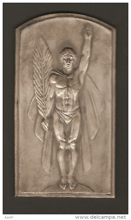 Plaque ART-DECO - Victoire -  Par Joseph WITTERWULGHE - Pour Joseph Sulon Champion De Belgique De Lutte 1939 - Brons