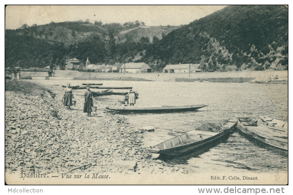 BELGIQUE HASTIERE / Vue Sur La Meuse / - Autres & Non Classés