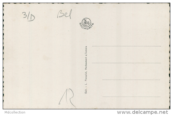 BELGIQUE HERBEUMONT / Heurbeumont Sur Semois, Vue Prise Du "Faité" / CARTE GLACEE - Autres & Non Classés