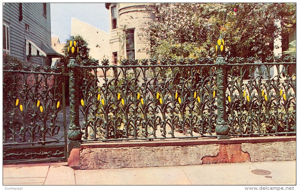 03892 "FAMOUS CORN STALK FENCE MADE OF CAST IRON - NEW ORLEANS, LA."  CART. NON  SPED. - New Orleans