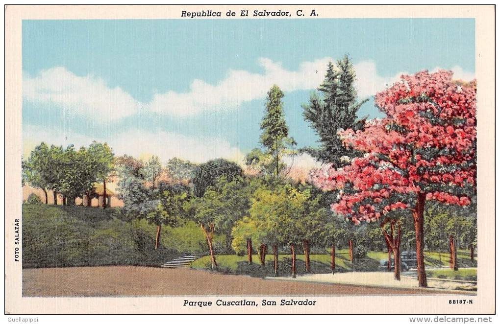 03894 "REPUBLICA DE EL SALVADOR C.A. - PARQUE CUSCATLAN, SAN SALVADOR" FOTO SALAZAR. CART. NON  SPED. - El Salvador