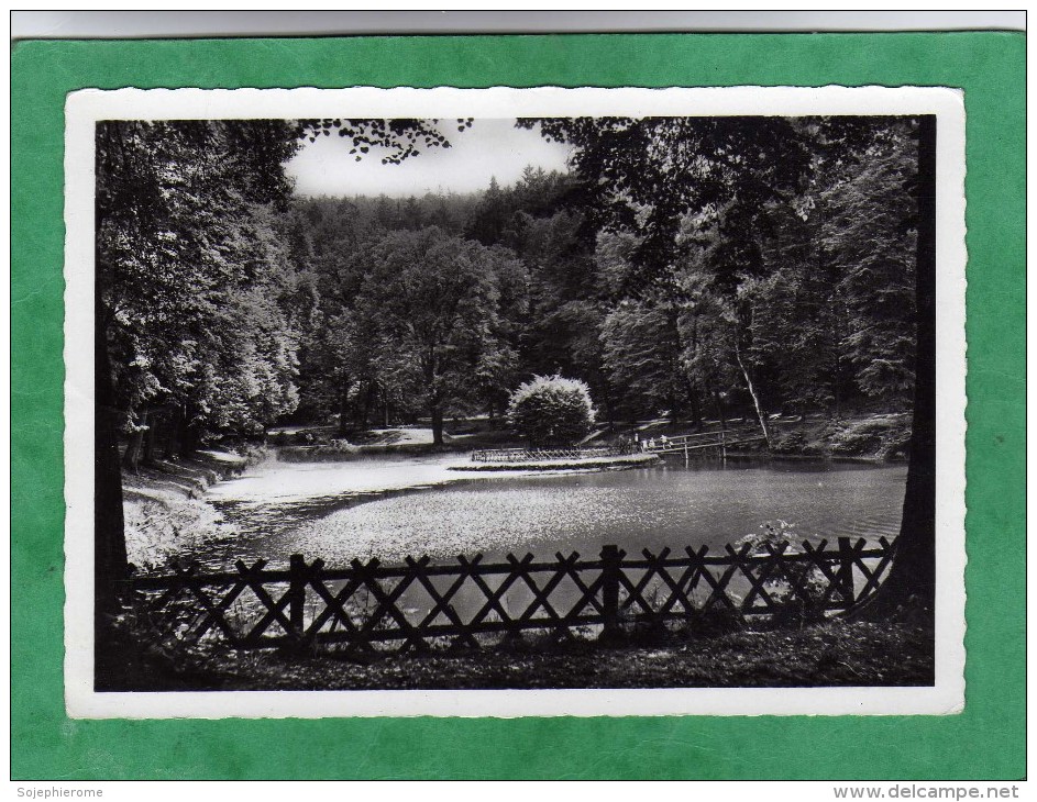 316 Homburg Karlsberg-Weiher (Saar) - 2 Scans - Saarpfalz-Kreis