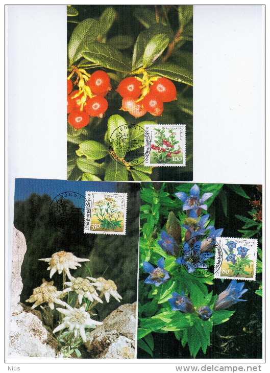 Germany Deutschland 1991 Maximum Cards X5 Flora Flower Flowers Blume Blumen, Rennsteiggarten Oberhof, Bonn - 1981-2000