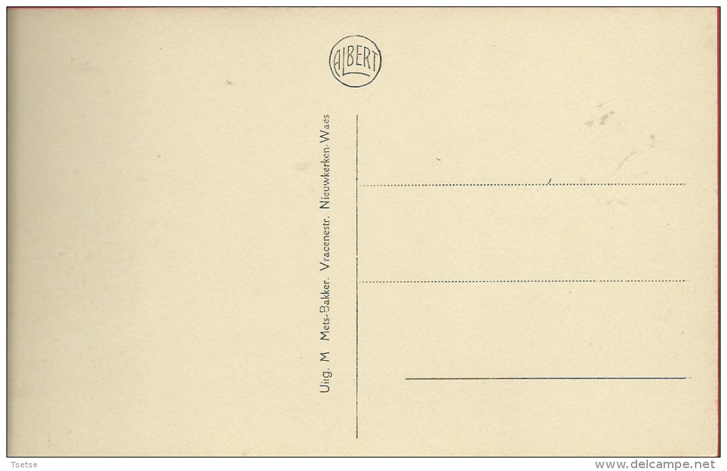 Nieuwkerken-Waas - De Statie ( Verso Zien ) - Sint-Niklaas