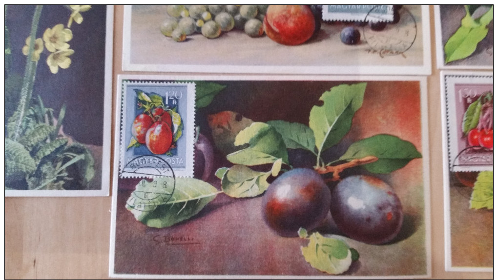 HONGRIE 14 CARTES CARTE MAXIMUM CARD FLEURS 1952 FRUITS 1954 /FREE SHIPPING REGISTERED