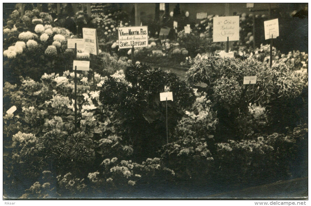 CHAMPIGNY(VAL DE MARNE) EXPOSITION CHRISANTHEME(CARTE PHOTO) - Champigny Sur Marne