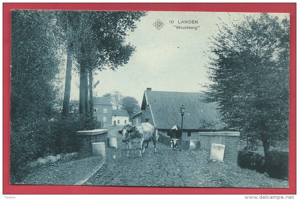 Landen - Meuleberg - S.B.P. -1907 ( Verso Zien ) - Landen