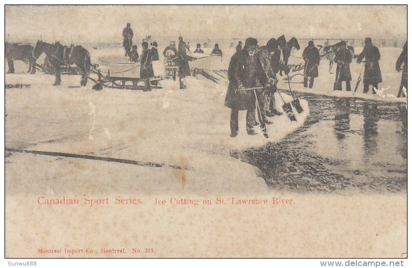 Canadian Sport Series - Ice Cutting On St Lawrence River (animation, 1905) - Non Classificati