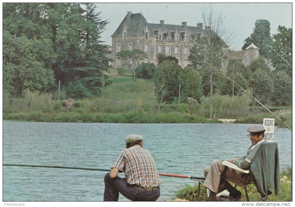 CPM Plan D'eau Du Lambon, Disctric De Celles-sur-Belle : Partie De Pêche Et Le Château De La Bessière - Celles-sur-Belle