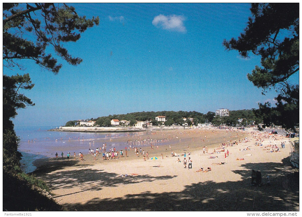 VAUX SUR MER  PLAGE DE NAUZAN (DIL164) - Vaux-sur-Mer