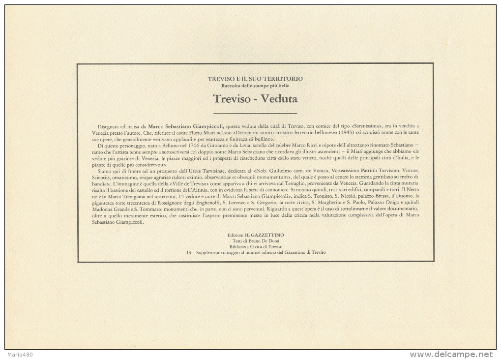 TREVISO E IL SUO TERRITORIO  TREVISO   VEDUTA     2 SCAN  (STAMPA CON DESCRIZIONE SUL RETRO) 22X30,5 - Treviso