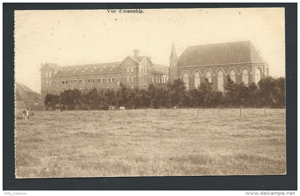 CPA - NECHIN - Pensionnat De N-D Des Anges - Vue D'ensemble   // - Estaimpuis