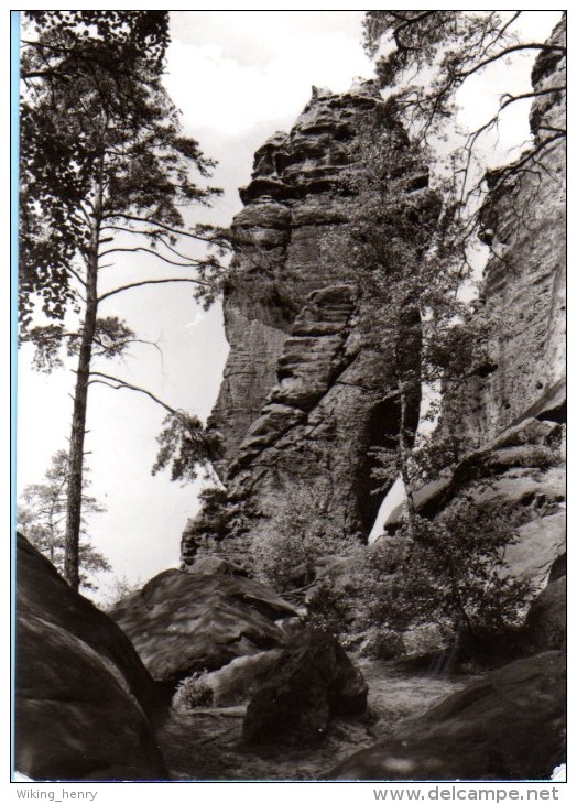 Gohrisch - S/w Der Zwergfels Am Gohrischstein - Gohrisch